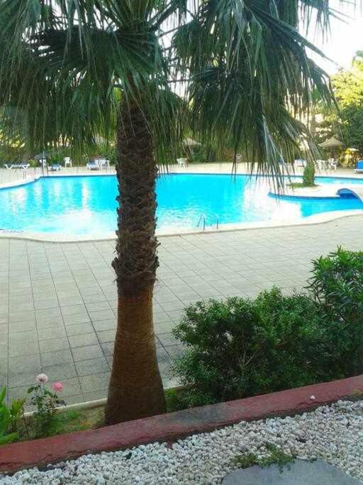 Piso Moderno Con Piscina Siesta 2 Leilighet Port de Alcudia  Eksteriør bilde
